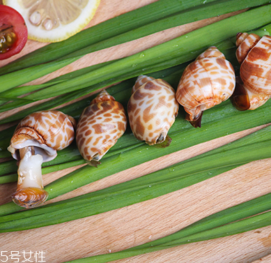 海螺能和西瓜一起吃嗎？海螺和西瓜能同食嗎？