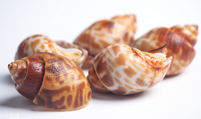 海螺能和西瓜一起吃嗎？海螺和西瓜能同食嗎？