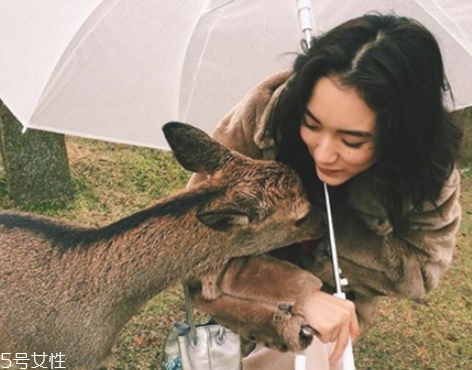 瘦臉針多久見效呢 瘦臉針幾天出現(xiàn)效果 瘦臉針多久見效呢 瘦臉針幾天出現(xiàn)效果