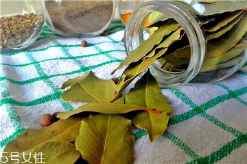 月桂葉怎么用 月桂葉怎么保存 月桂葉怎么用 月桂葉怎么保存