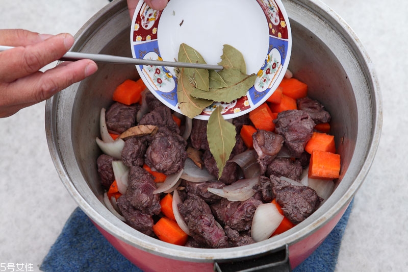 月桂葉怎么用 月桂葉怎么保存 月桂葉怎么用 月桂葉怎么保存