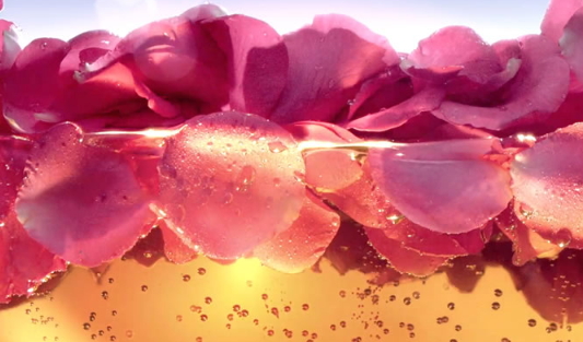 玫瑰水怎么做？自制玫瑰水