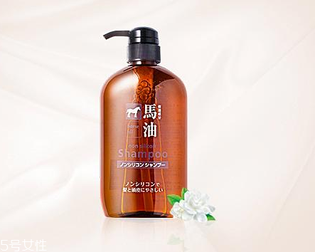 馬油洗發(fā)水是哪里產(chǎn)的？馬油洗發(fā)水是哪國的？