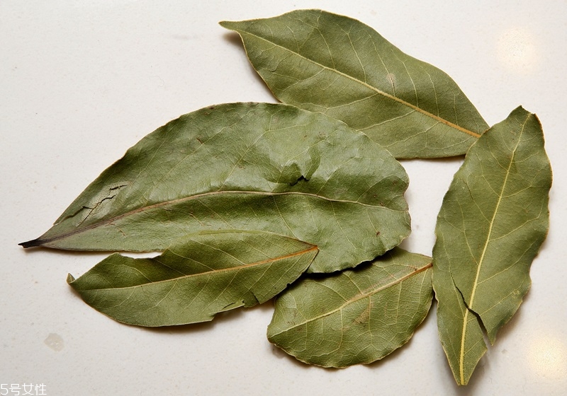 月桂葉怎么用 月桂葉怎么保存 月桂葉怎么用 月桂葉怎么保存