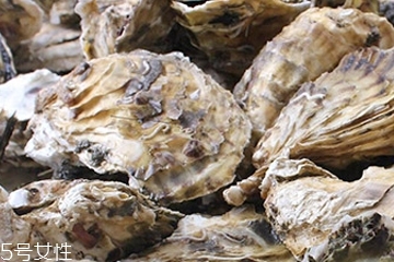 生蠔肉怎么做好吃？生蠔肉做法推薦