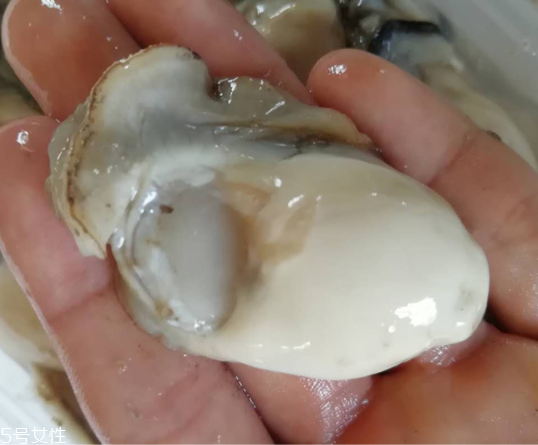 生蠔肉都能吃嗎？生蠔肉有不能吃的地方嗎？