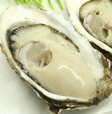 生蠔是蒸還是煮？生蠔蒸好吃還是煮好吃？