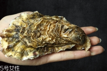 生蠔有內(nèi)臟嗎？生蠔的內(nèi)臟能吃嗎？