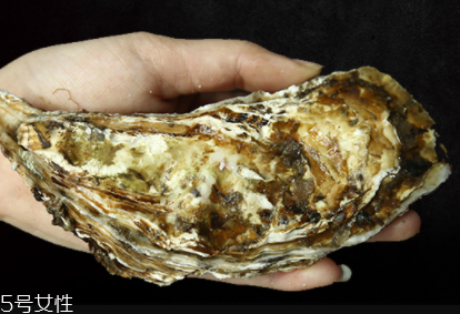 生蠔有內(nèi)臟嗎？生蠔的內(nèi)臟能吃嗎？