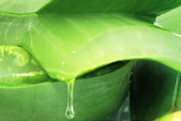 蘆薈水哪個(gè)牌子好？蘆薈爽膚水品牌推薦