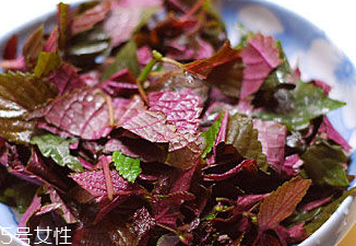 紫蘇葉能治皮膚過(guò)敏嗎？