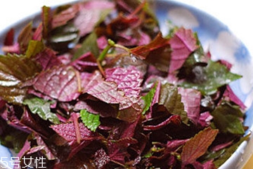 紫蘇葉是熱性的嗎？紫蘇葉是寒性的嗎？