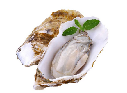 生蠔放冷藏可以放多久？生蠔放冷藏的保存時間