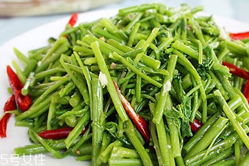 刺五加是不是五加皮？刺五加和五加皮的區(qū)別