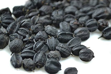 刺五加和五味子的功效一樣嗎？