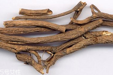 刺五加的選購技法 怎么挑選刺五加？