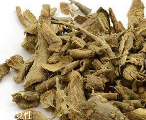 刺五加的選購技法 怎么挑選刺五加？