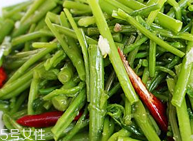 刺五加的適宜人群 刺五加適合哪些人？