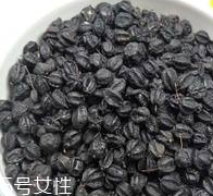 刺五加怎么吃？刺五加有什么用？