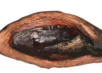 一個檳榔等于幾根煙？一個檳榔嚼多久