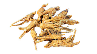 西洋參是哪里產(chǎn)的？長(zhǎng)白山為主要產(chǎn)地