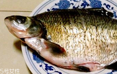 鳊魚是淡水魚還是海魚 鳊魚不是海魚 鳊魚是淡水魚還是海魚 鳊魚不是海魚