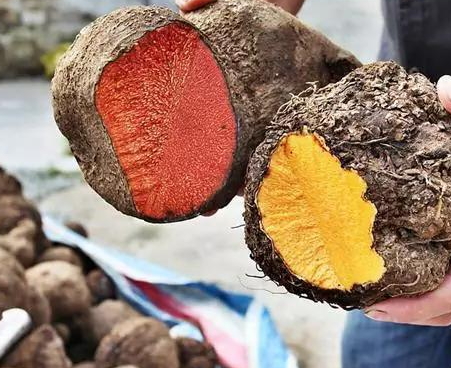 真絲香云紗多少錢一米 最為貴重的絲綢之一 真絲香云紗多少錢一米 最為貴重的絲綢之一