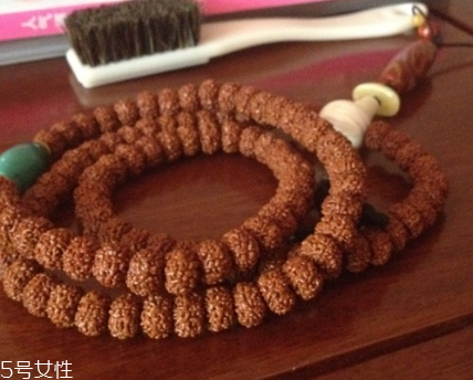 金剛菩提子可以水洗嗎 水洗時(shí)機(jī)很重要 金剛菩提子可以水洗嗎 水洗時(shí)機(jī)很重要