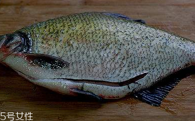 鳊魚的選購技法 怎么挑選好的鳊魚 鳊魚的選購技法 怎么挑選好的鳊魚