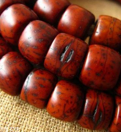 鳳眼菩提和金剛菩提哪個好 這樣選準(zhǔn)沒錯