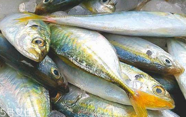 鲅魚的種類繁多 應(yīng)有盡有 鲅魚的種類繁多 應(yīng)有盡有