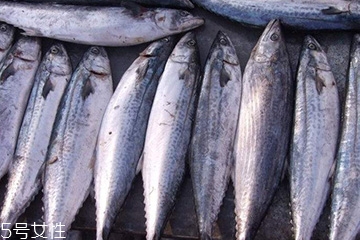 鲅魚(yú)和豆腐能一起吃嗎 促進(jìn)蛋白吸收 鲅魚(yú)和豆腐能一起吃嗎 促進(jìn)蛋白吸收