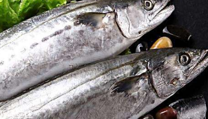 鲅魚(yú)和豆腐能一起吃嗎 促進(jìn)蛋白吸收 鲅魚(yú)和豆腐能一起吃嗎 促進(jìn)蛋白吸收
