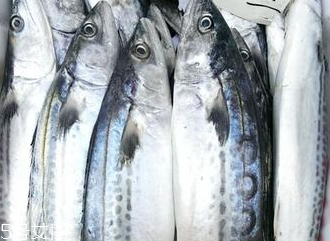 鲅魚和馬鮫魚的區(qū)別 看身形和顏色 鲅魚和馬鮫魚的區(qū)別 看身形和顏色