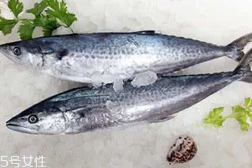 鲅魚和青占魚是一種嗎 體型不一 鲅魚和青占魚是一種嗎 體型不一