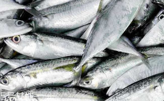 鲅魚和秋刀魚是一樣的嗎 主要區(qū)別在花紋和頭部 鲅魚和秋刀魚是一樣的嗎 主要區(qū)別在花紋和頭部