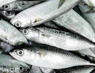 鲅魚和秋刀魚是一樣的嗎 主要區(qū)別在花紋和頭部 鲅魚和秋刀魚是一樣的嗎 主要區(qū)別在花紋和頭部