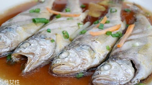 鲅魚怎么釣才最快速 釣鲅魚的六大步驟 鲅魚怎么釣才最快速 釣鲅魚的六大步驟