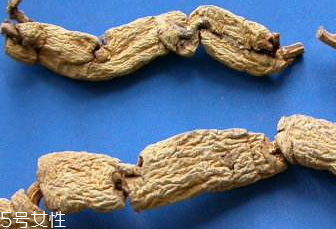 巴戟天是什么 茜草科植物巴戟天 巴戟天是什么 茜草科植物巴戟天