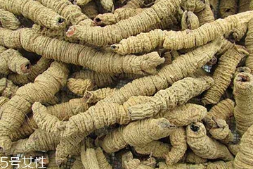 巴戟天是什么 茜草科植物巴戟天 巴戟天是什么 茜草科植物巴戟天