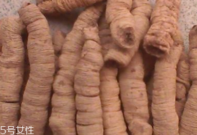 巴戟天和大戟一樣嗎 不是同一種中藥 巴戟天和大戟一樣嗎 不是同一種中藥