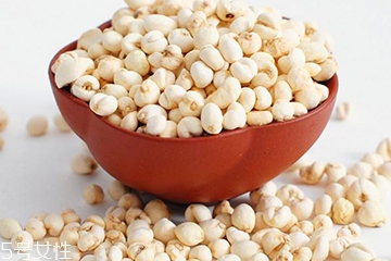 川貝母怎么挑選 三種川貝選購技法 川貝母怎么挑選 三種川貝選購技法