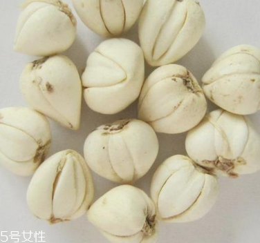 川貝母怎么挑選 三種川貝選購技法 川貝母怎么挑選 三種川貝選購技法