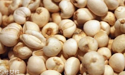 川貝母和浙貝母的區(qū)別 產(chǎn)地功效不同 川貝母和浙貝母的區(qū)別 產(chǎn)地功效不同