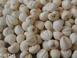 川貝母和松貝母是一樣的嗎 是一樣的 川貝母和松貝母是一樣的嗎 是一樣的