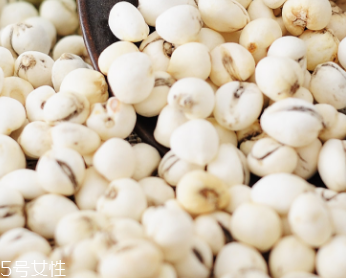 川貝母梨水怎么保存 保溫瓶裝好 川貝母梨水怎么保存 保溫瓶裝好