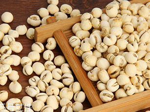 川貝母怎么吃 與梨煮食化痰止咳 川貝母怎么吃 與梨煮食化痰止咳