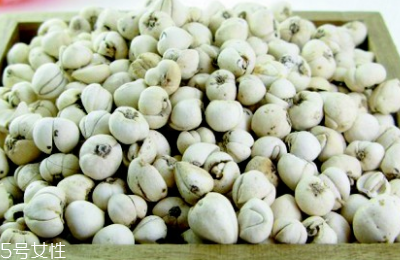 川貝母怎么吃 與梨煮食化痰止咳 川貝母怎么吃 與梨煮食化痰止咳