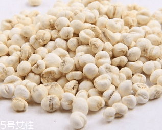 川貝母的產(chǎn)地 四川西部 川貝母的產(chǎn)地 四川西部