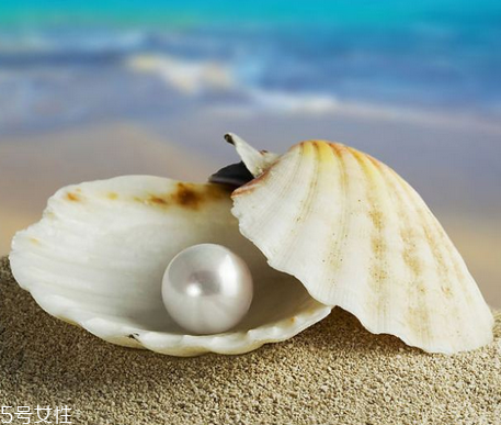 珍珠粉不能和什么一起吃 這些禁忌要牢記 珍珠粉不能和什么一起吃 這些禁忌要牢記